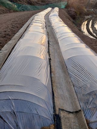 정금천님의 자유주제 · 자유게시판 작성글 사진