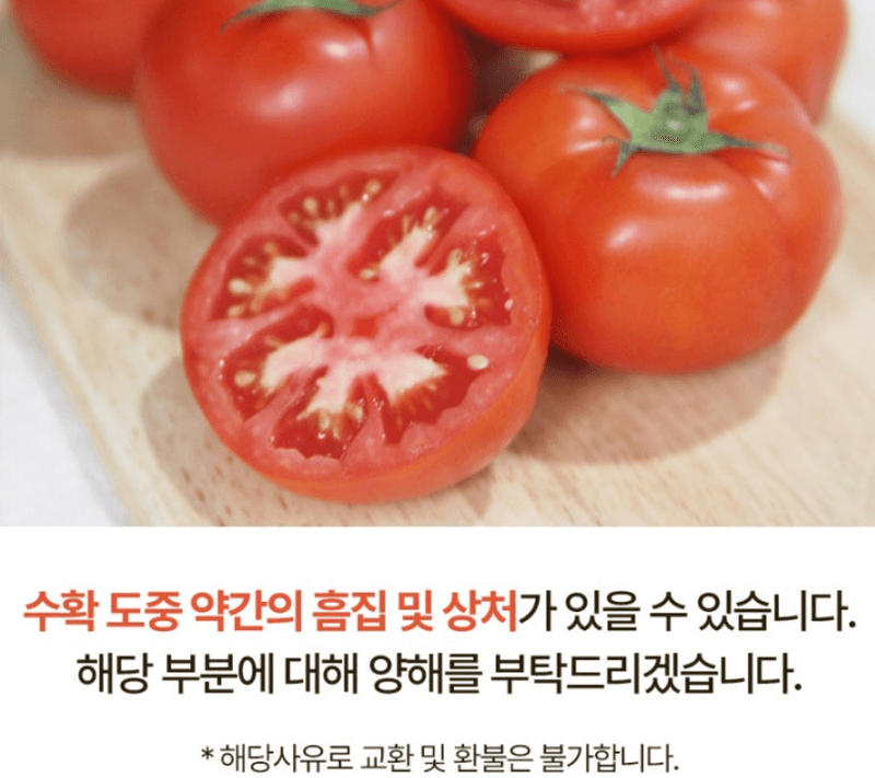 스피드번님의 장터 판매 상품 [완숙토마토 ] 첨부 사진