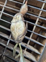 팜모닝 자유주제·자유게시판 게시글 이미지