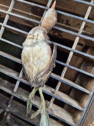 박번삼님의 자유주제 · 자유게시판 작성글 사진