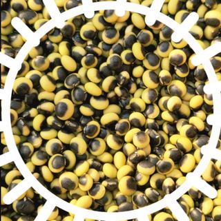 선비 농군님의 작성글 사진