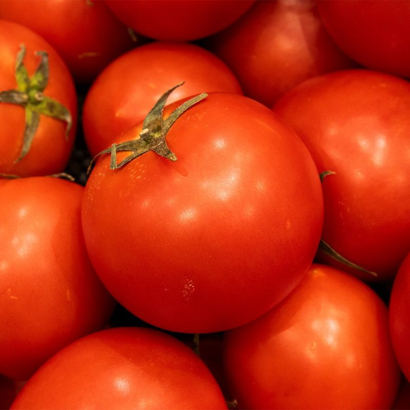 장터 상품 [완숙토마토 ] 썸네일