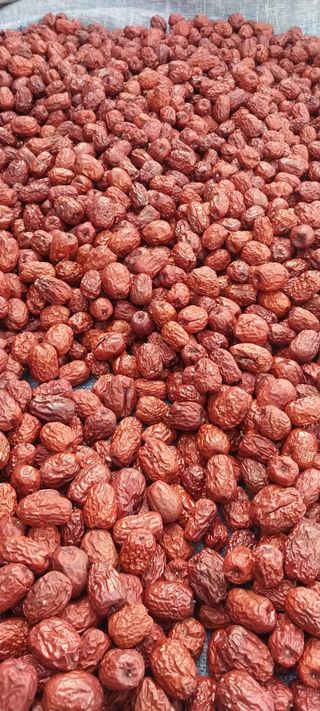 아로대추님의 작성글 사진