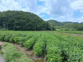 설진완님의 작성글 사진