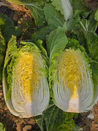 정태권님의 작성글 사진