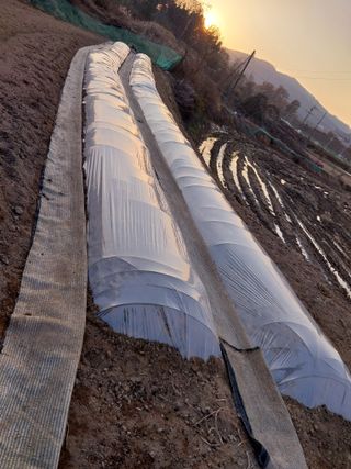 정금천님의 자유주제 · 자유게시판 작성글 사진