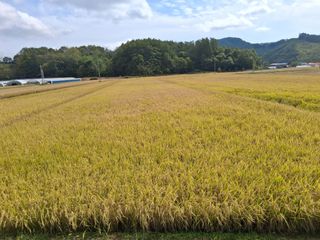 설진완님의 작성글 사진