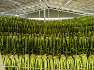 조규진 님의 자유주제 · 자유게시판 작성글 사진