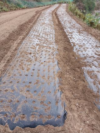 정금천님의 자유주제 · 자유게시판 작성글 사진