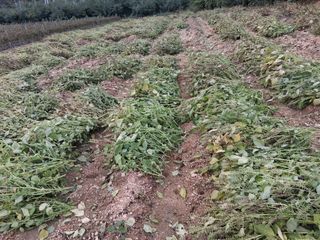 설진완님의 작성글 사진