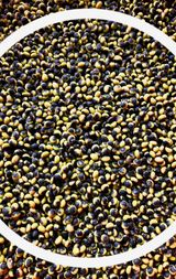 팜모닝 자유주제·자유게시판 게시글 이미지