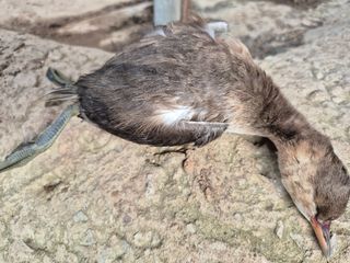 박번삼님의 자유주제 · 자유게시판 작성글 사진