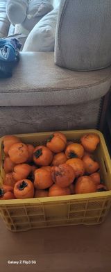 팜모닝 자유주제·자유게시판 게시글 이미지