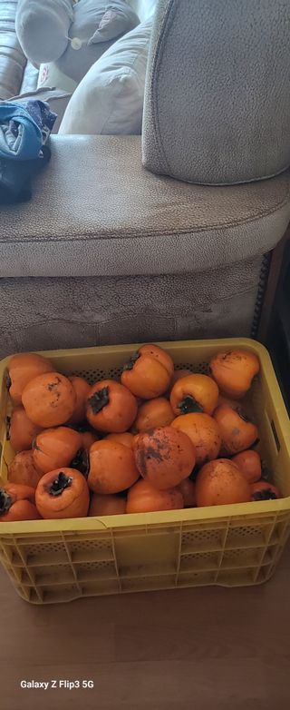 양일봉님의 자유주제 · 자유게시판 작성글 사진