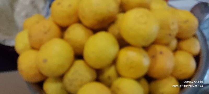 장터 상품 [거제 지세포 생유자판매합니다 ] 썸네일