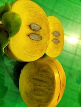 팜모닝 · 게시글 이미지