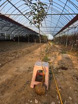 팜모닝 자유주제·자유게시판 게시글 이미지