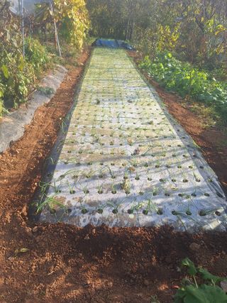 김용환님의 자유주제 · 자유게시판 작성글 사진