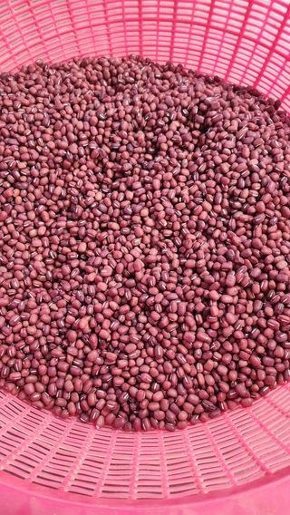 조새힘님의 작성글 사진