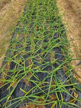 팜모닝 자유주제·자유게시판 게시글 이미지