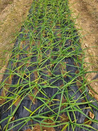 이부균님의 자유주제 · 자유게시판 작성글 사진