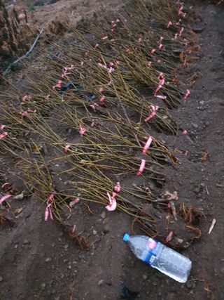 오아성님의 작성글 사진