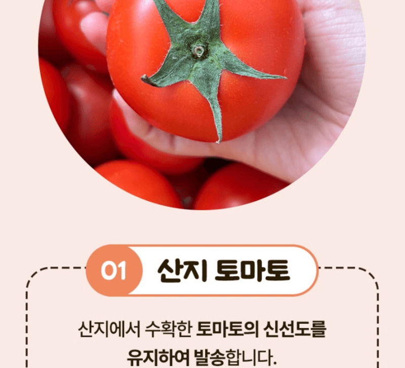 스피드번님의 장터 판매 상품 [완숙토마토 ] 첨부 사진