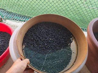 이은호님의 작성글 사진