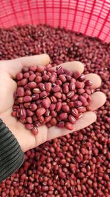 팜모닝 · 게시글 이미지