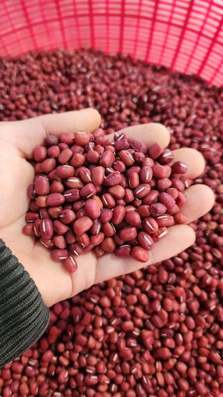 조새힘님의 작성글 사진