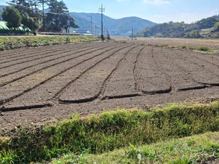 황동 여순모님의 자유주제 · 자유게시판 작성글 사진