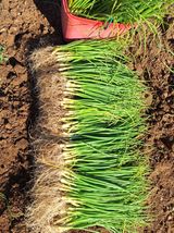 팜모닝 자유주제·자유게시판 게시글 이미지