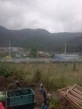 팜모닝 · 게시글 이미지