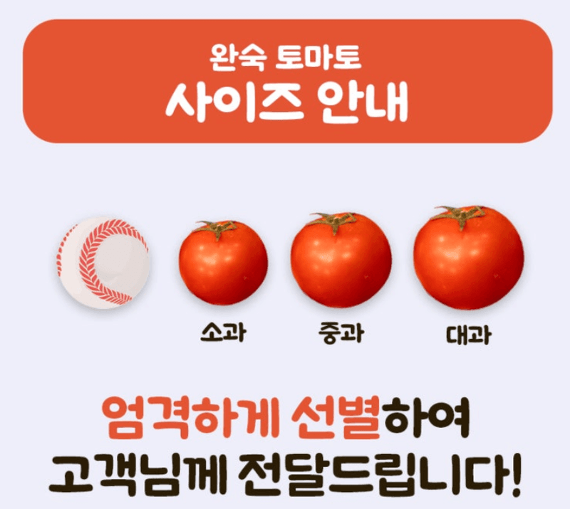 스피드번님의 장터 판매 상품 [완숙토마토 ] 첨부 사진