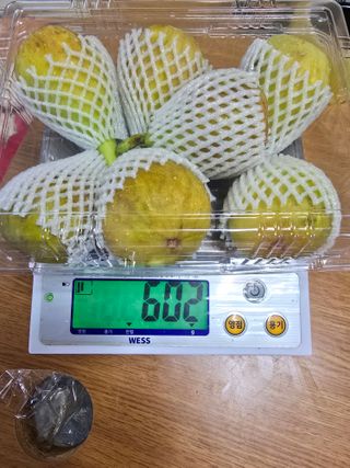 오아성님의 작성글 사진