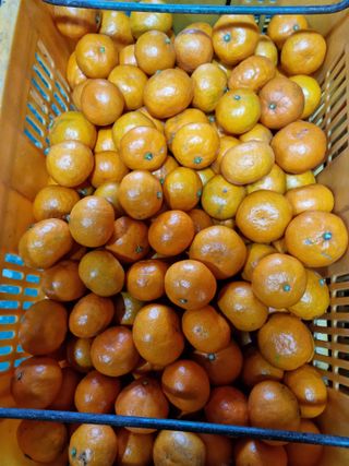 송응준님의 자유주제 · 자유게시판 작성글 사진