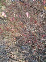 팜모닝 자유주제·자유게시판 게시글 이미지