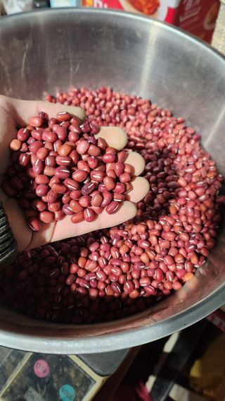 조새힘님의 작성글 사진