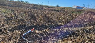 이은호님의 작성글 사진