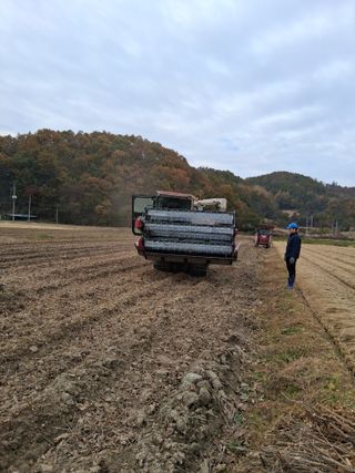 설진완님의 작성글 사진