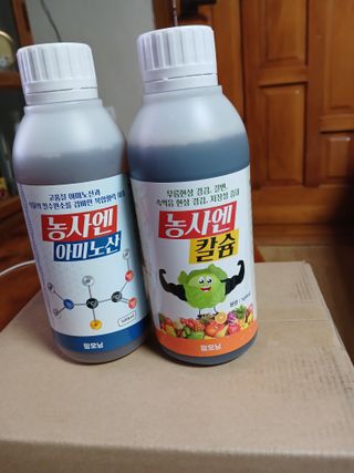 이영자 님의 자유주제 · 자유게시판 작성글 사진