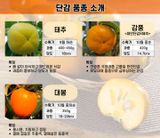 팜모닝 자유주제·자유게시판 게시글 이미지