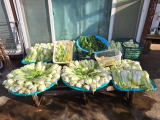 정희군님의 자유주제 · 자유게시판 작성글 사진