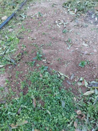 조명희님의 자유주제 · 자유게시판 작성글 사진