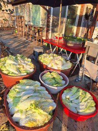 정희군님의 자유주제 · 자유게시판 작성글 사진