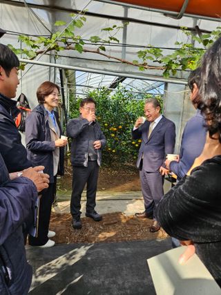 제주 지안이네농장님의 자유주제 · 자유게시판 작성글 사진