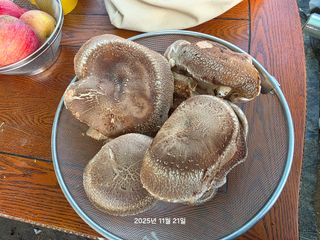 화성농원님의 자유주제 · 자유게시판 작성글 사진