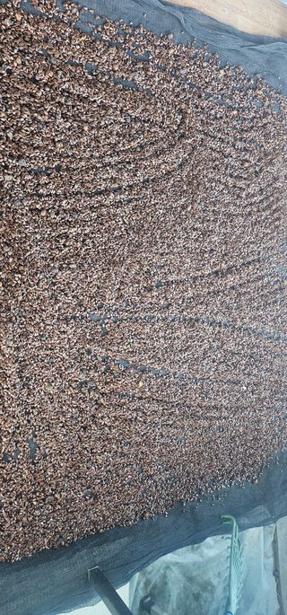 뿌리묘목농원님의 자유주제 · 자유게시판 작성글 사진