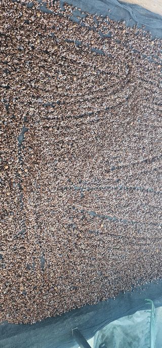 뿌리묘목농원님의 자유주제 · 자유게시판 작성글 사진