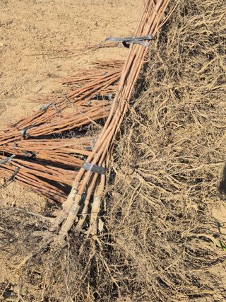 우리농원님의 자유주제 · 자유게시판 작성글 사진